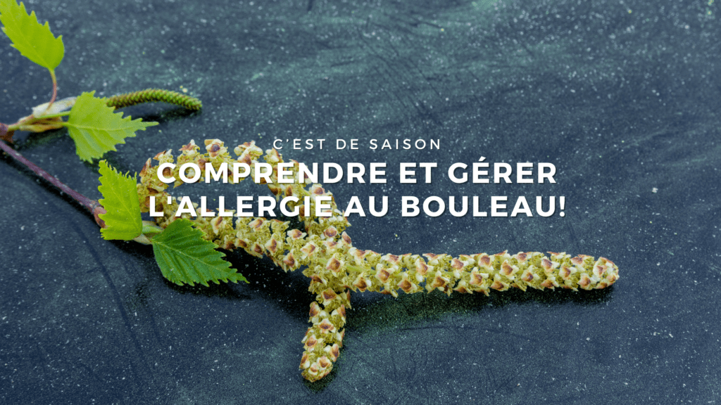 Allergie au pollen de bouleau, Comprendre et gérer ! LivePollen